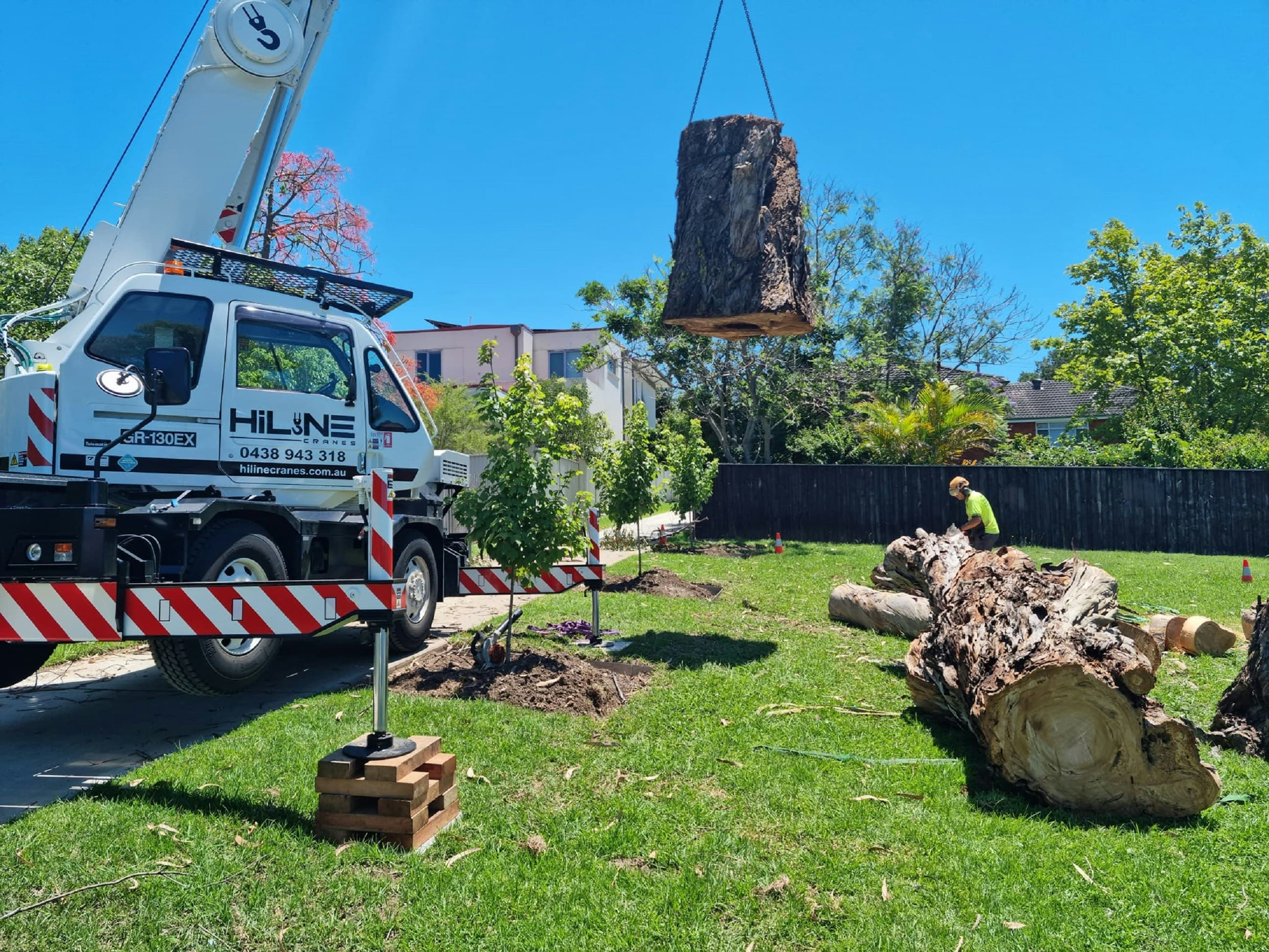 Stump Removal