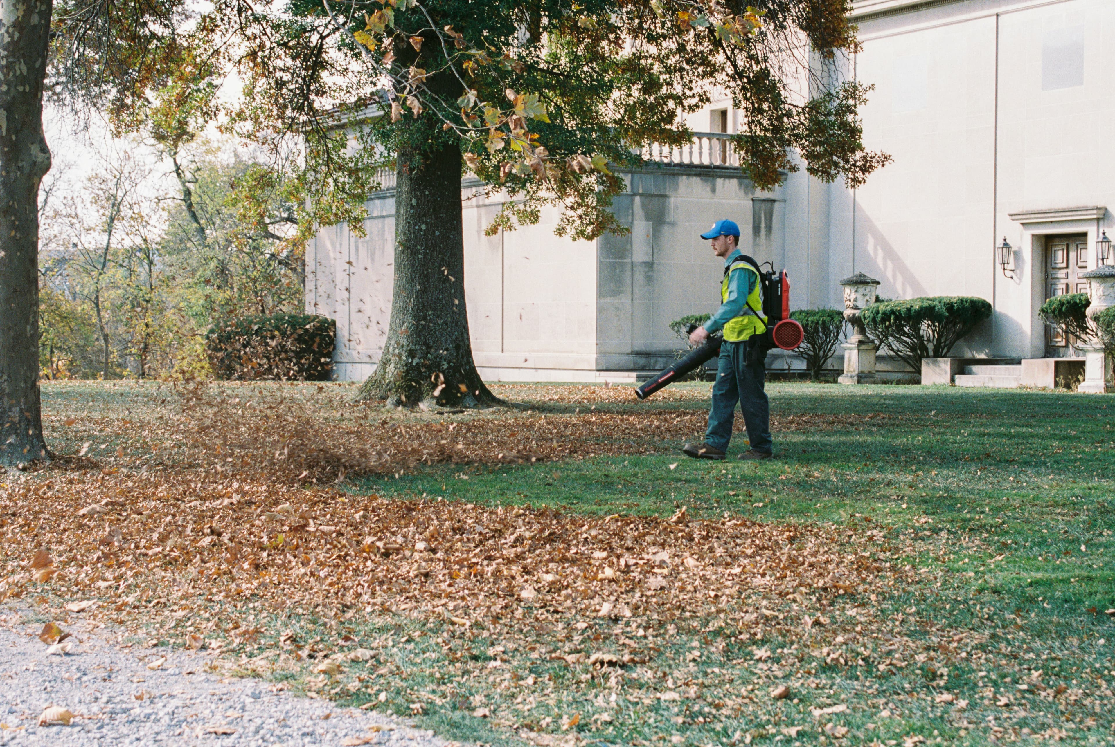 Lot Cleaning
